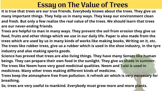 Importance of trees Essay