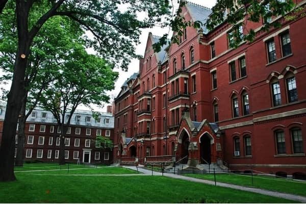 Harvard University to learn English