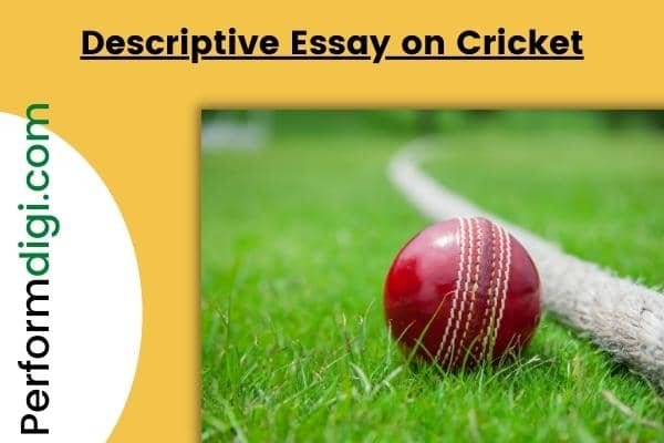 descriptive essay on cricket