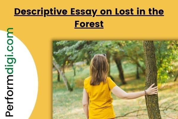 lost in the forest essay 200 words