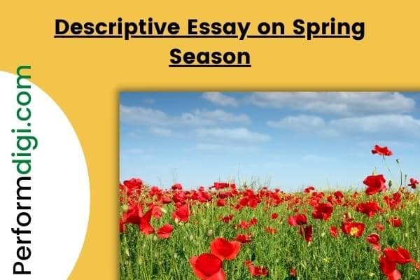 descriptive essay about spring