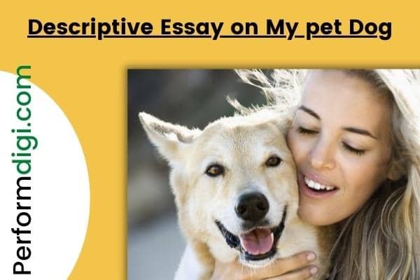 my pet descriptive essay