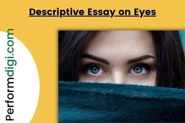 descriptive essay about eyes