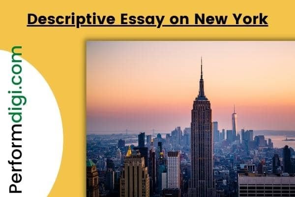 new york essay