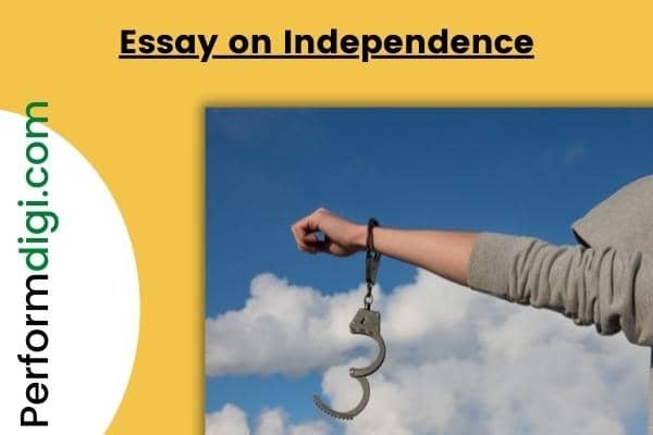 argumentative essay about independence and individuality