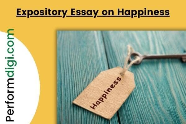 what is happiness expository essay