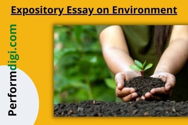 expository essay examples about environment