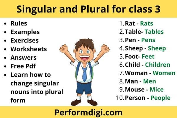 Singular And Plural For Class 3 Exercises Worksheets PDF