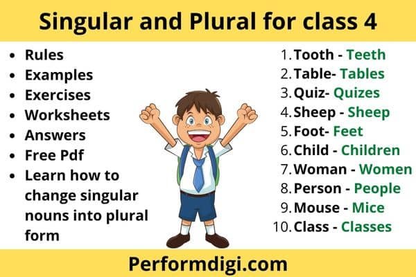 Singular And Plural For Class 4 Exercise Worksheet Free Pdf