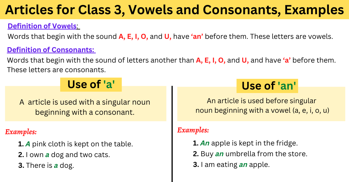 Articles For Class 3 Vowels And Consonants Examples Worksheet   Articles For Class 3 