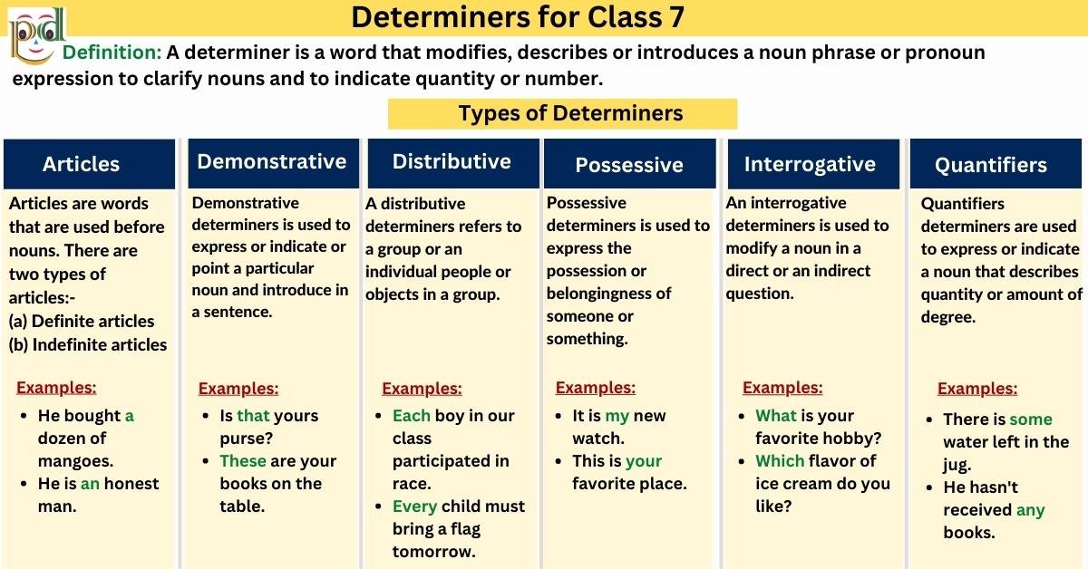 determiners-for-class-7-types-examples-worksheet-pdf