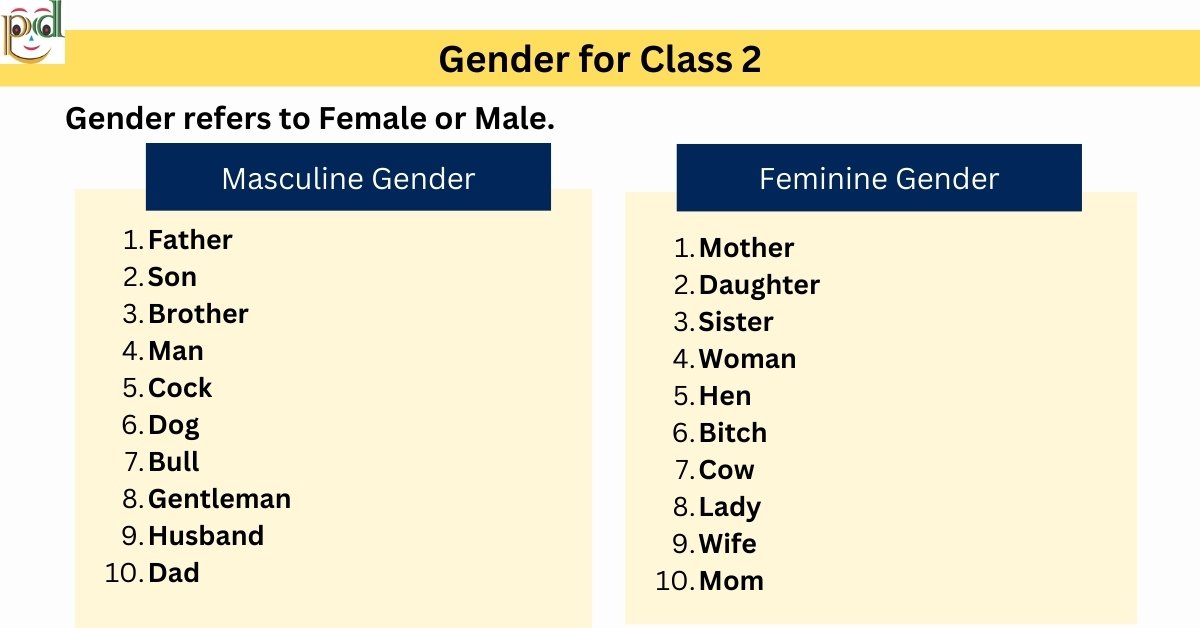 gender-for-class-2-types-examples-worksheet-pdf